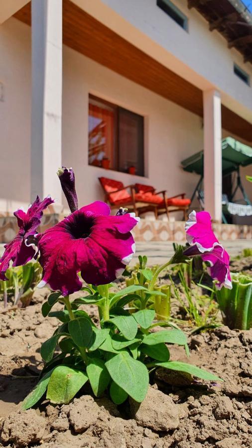 Casa Caraua Villa Greci Eksteriør bilde